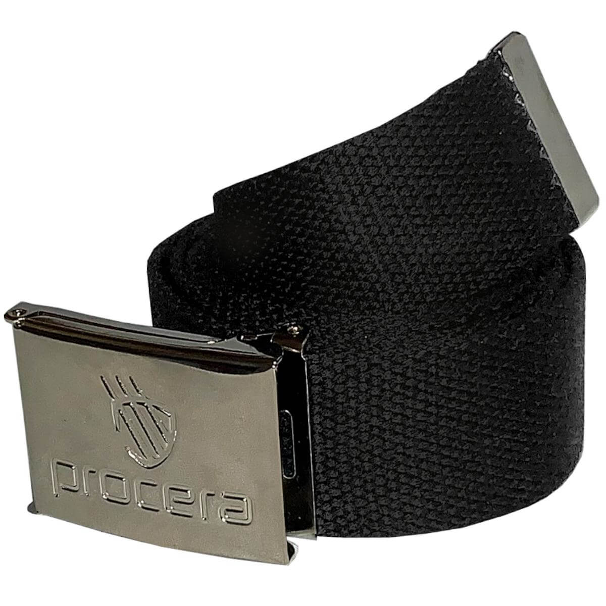 PROBABLE PANT BELT